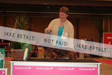 124188 _tl_02_IMG_9607.JPG