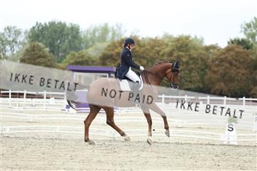 181923_mtp_04_R62_8364.JPG