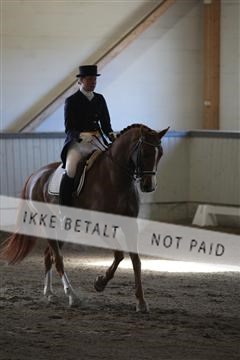 139267_kl_1_8M1Q6489.JPG