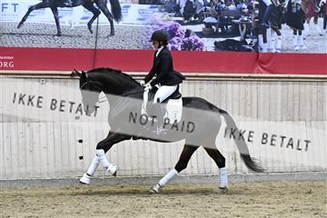 182241_kbb_01_Z093398.JPG