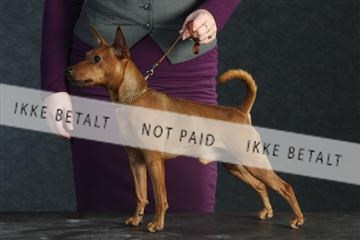 132082_le_ 01_IMG_0208.JPG