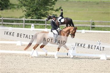 172030_mtp_01_3M5A1467.JPG