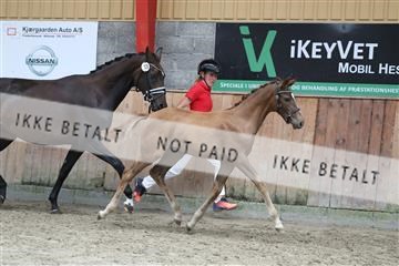 181868_mtp_03_R62_6314.JPG