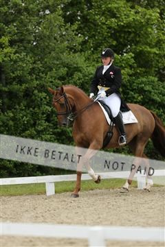 139835_sg_01_IMG_8048.JPG