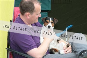 130370_tl_01_IMG_7078.JPG