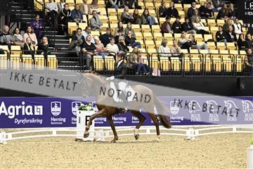 182194_kbb_03_Z090928.JPG