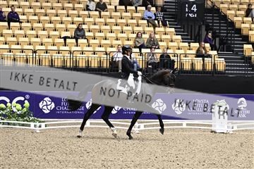 182194_kbb_03_Z099801.JPG