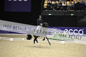 182194_kbb_02_Z098877.JPG