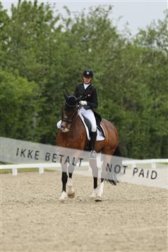 139835_sg_01_IMG_8232.JPG