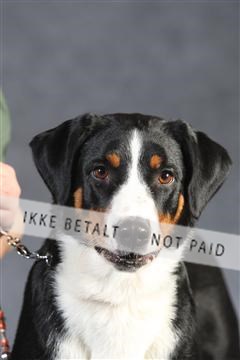 132082_le_ 01_IMG_1348.JPG