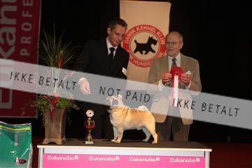 126827_tl_02_IMG_2934.JPG