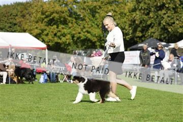 182009_rin_01__62_6766.JPG