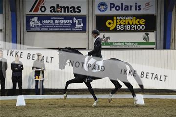 140040_abo_02__AB18996.JPG