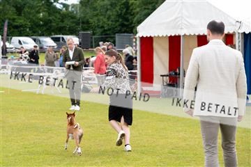 177324_jørgen lawaetz_1_DSCF4516.jpg