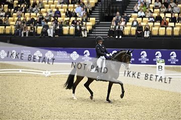 182194_kbb_02_Z098800.JPG