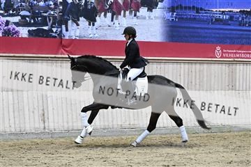 182241_kbb_01_Z093397.JPG