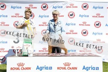 181564_ch_01__62_9218.JPG