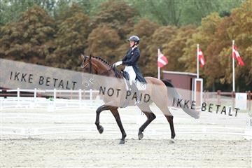 181923_mtp_04_R62_8805.JPG