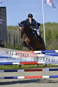 139644_abo_02__AB14828.JPG