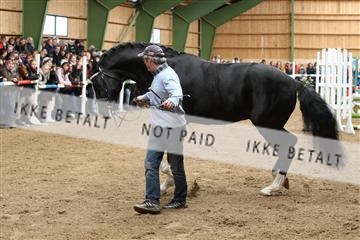 139265_kl_1_8M1Q6236.JPG