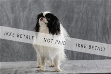 128239_le_kort_ 01_0312.JPG