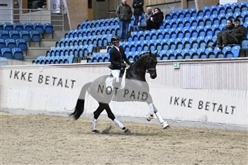 182241_kbb_01_Z094219.JPG