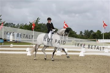 156196_nn_01_IMG_5478.JPG