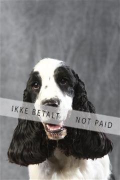 129608_le_ 01_0508.JPG