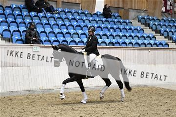 182241_kbb_01_Z093895.JPG