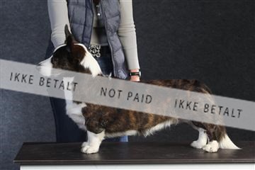 132082_le_ 01_IMG_0592.JPG