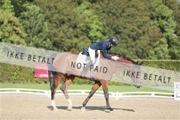 181957_mtp_01_3M5A7990.JPG