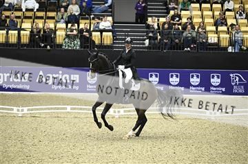 182194_kbb_02_Z099236.JPG