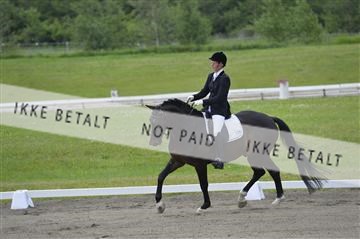 140040_abo_01__AB17464.JPG