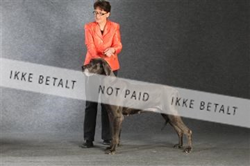 132082_le_ 01_IMG_1459.JPG