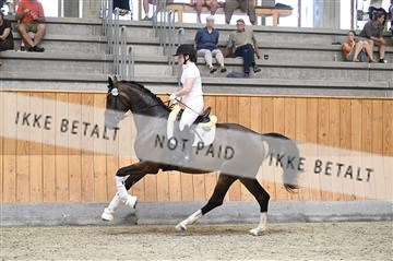 181595_kbb_01_Z097747.JPG