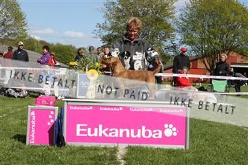 134871_ms_01_IMG_3940.JPG
