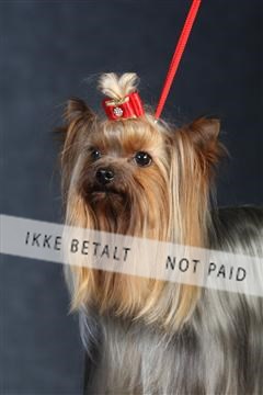 132082_le_ 01_IMG_0372.JPG