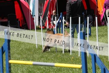 134871_ms_02_IMG_3039.JPG
