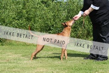 130370_se_02_IMG_5930.JPG
