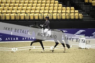 182194_kbb_01_Z095752.JPG