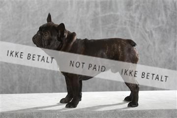 130054_le_ 03_0029.JPG