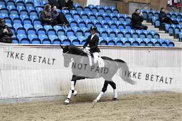 182241_kbb_01_Z094379.JPG