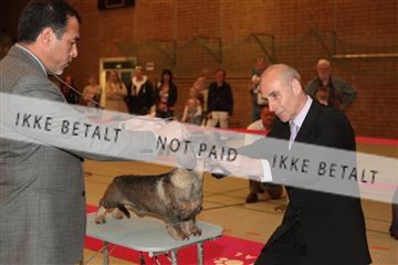 124188 _tl_02_IMG_9714.JPG