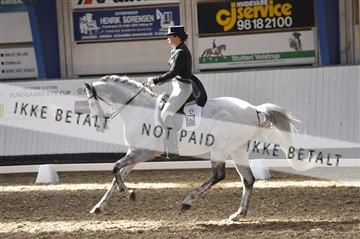 139422_bc_01__BC25746.JPG