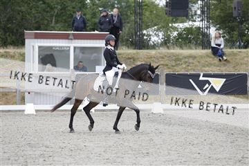 166078_rhj_01__J7R3518.JPG