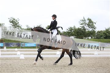 156196_nn_01_IMG_5324.JPG
