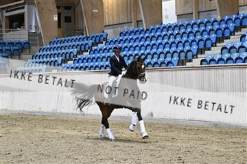 182241_kbb_01_Z093278.JPG