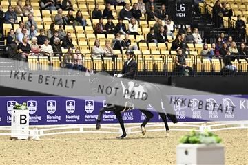 182194_kbb_03_Z090878.JPG