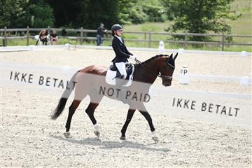 172030_mtp_01_3M5A2278.JPG