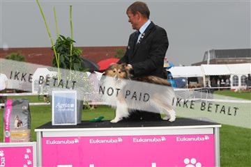 130370_le_02_IMG_8699.JPG